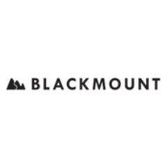 #Blackmount is an established #Web development company delivering #Webdevelopment services of any complexity to clients worldwide.