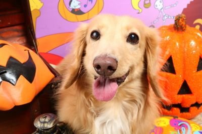 harry333yoko's profile picture. 