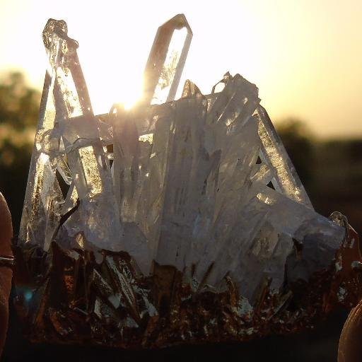 dneerkid's profile picture. 