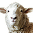 IrishFilmFest's profile image