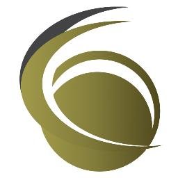 NGO, corporate and media security management. Providing risk analysis, consulting services, crisis management and training. Background investigations.