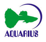 aquariusrc's profile picture. AQUARIUS - entendendo e respeitando a Natureza!
loja especializada em aquarismo que leva a aquariofilia a sério!