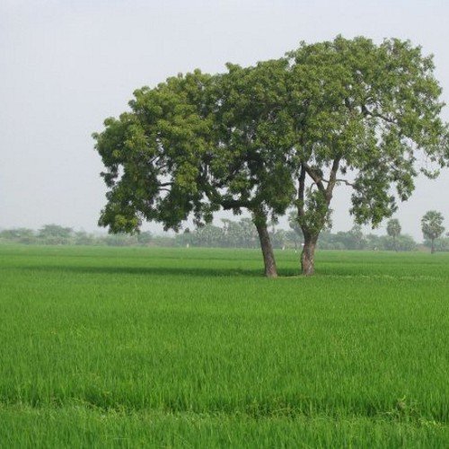 harikprasadb's profile picture. 