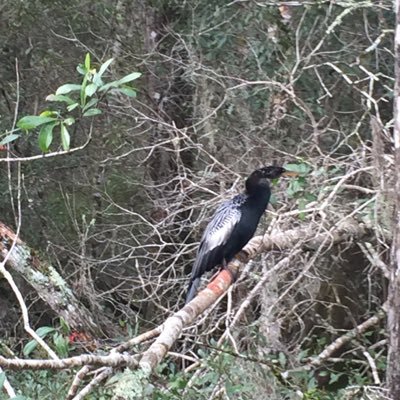 NewtonDHolt's profile picture. Nothing to see here. Move along.