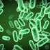 Microbial Distribution (@microbehouse) Twitter profile photo Microbial Distribution (@microbehouse) Twitter profile photo