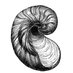 Listen Closely (@_listenclosely_) Twitter profile photo Listen Closely (@_listenclosely_) Twitter profile photo