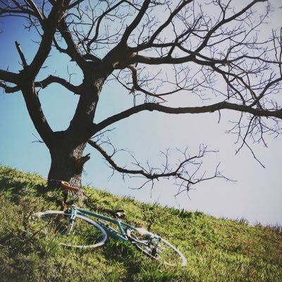 福岡在住。猫好き、映画好き、筋トレ好き、自転車好きの自称クリエイター。
