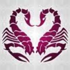 jay_irizarry's profile picture. 