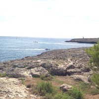 Visit Cala d'Or (@visitcalador) 's Twitter Profile