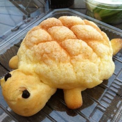 あると🐢低浮上さんのプロフィール画像