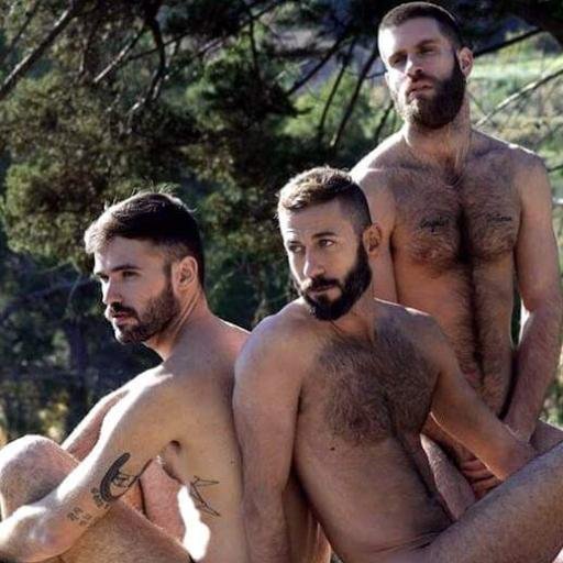 Bienvenido a nuestra comunidad sobre la vellosidad masculina. Porque los vellos son bellos. Media about hairy men. Follow us on IG hairyinparadises (NSFW +18)