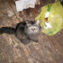 anna hull - @sephieswings - Twitter