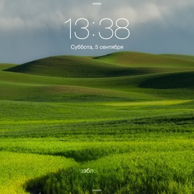 edrossia39's profile picture. 