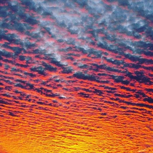 manavoglucigdem's profile picture. 