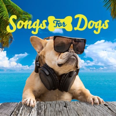 really fun music to help dogs feel happy when they have to be left alone. Visit our website to get the first album of its kind for dogs, *The Ruff Cuts*