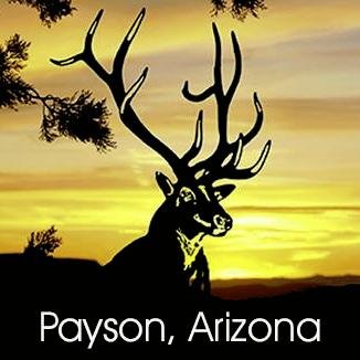 Regional Website for Payson & Central Arizona's mountain resort communities, geared toward those considering travel and/or relocation to the area.