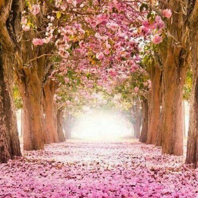 لا إله إلا الله ~ أكتب لأجل مرضى #ألزهايمر تلك الشخصيات الرائعة التي منها ،، والـــــدي ،، ~ لا أنقل