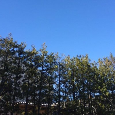 dwos2www1's profile picture. 大阪から引っ越してきましたー( ´ ▽ ` )ﾉ 仕事がんばります(^^;;