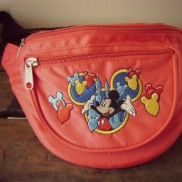 Disney World through the eyes of a Disney Tourist's fanny pack