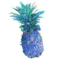 The Pineapple Store (@pineapplestorem) 's Twitter Profile