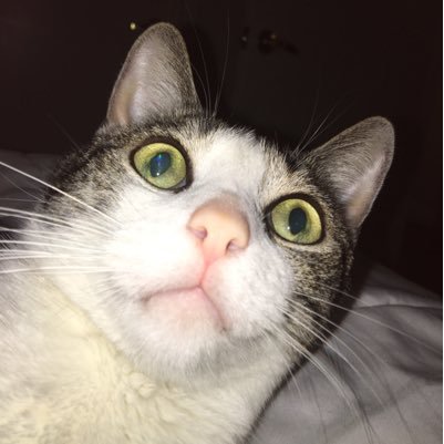 erincramos's profile picture. 