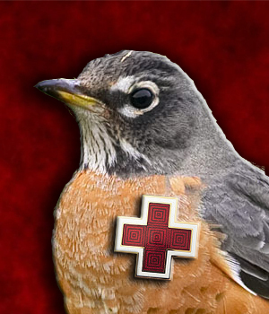 WritingRobin's profile picture. Aspiring novelist.