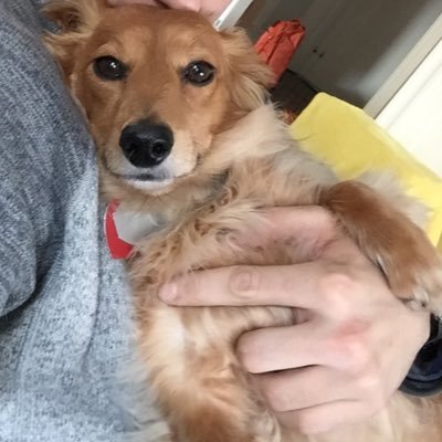 JohnAmstrong's profile picture. im irl rn