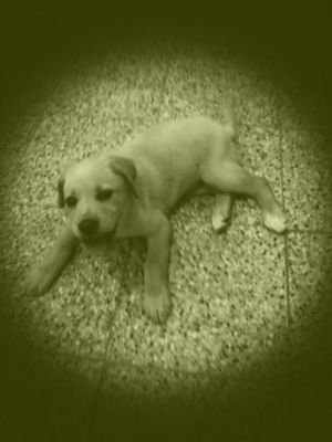 alexand33178303's profile picture. 