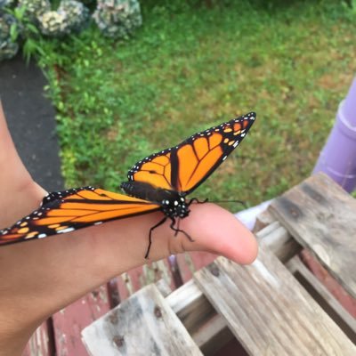 mcglone_jemma's profile picture. 