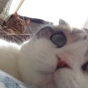 Yumi (@0308Maron) Twitter
