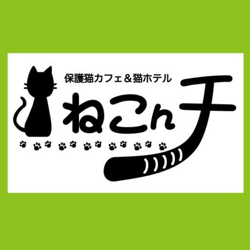 泉大津市(南大阪・泉州地区)にあります。かわいい14
匹ほどの保護猫達と遊んだり、ゆったり過ごしたりして頂けます。猫ホテルも猫カフェ内にあります🎵

ねこんチのブログ https://t.co/QOt6PEcaFY