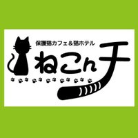 保護猫カフェ&猫ホテル ねこんチ(@nekonchi_) 's Twitter Profile Photo