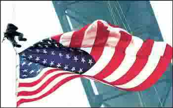 wildtickets's profile picture. 