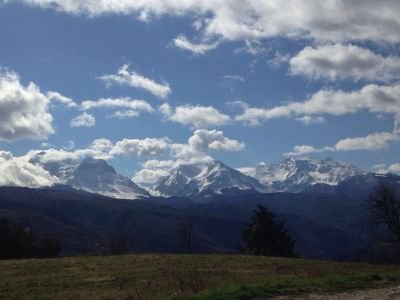 RobertoScarnati's profile picture. 