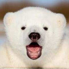 Minecraft-Uhcplayer-thebestpanda9-play some csgo