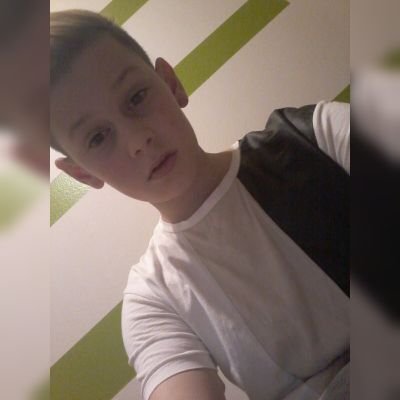 domi_thaler's profile picture. 