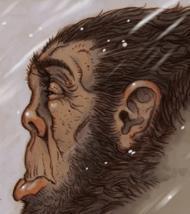 InventorOfFire's profile picture. I am the greatest inventor of the stone age.