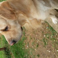 senay yılmaz (@senayylmaz15) 's Twitter Profile Photo