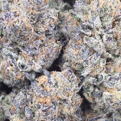 Humboldt, California proposition 215 and SB 420 compliant nothing for sale enjoy!!