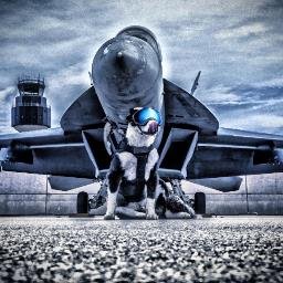 silverwhistler's profile picture. 