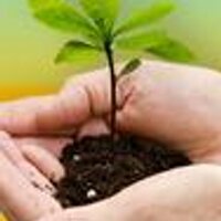 Support Sweet-Seeds (@sweetseeds) Twitter profile photo