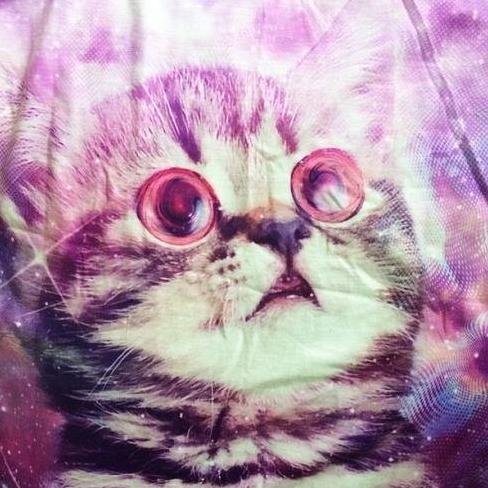 shortyme's profile picture. ★ ★ ★ ᕕ( ᐛ )ᕗ Intersectional Feminist, pan, slut, cat lover. Nap aficionado. Canadian in the UK. ¯\_(ツ)_/¯ ★ ★ ★ ^..^~~’ she/her