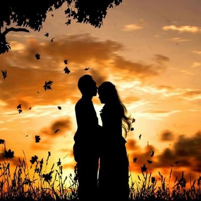 ZaheerA61746598's profile picture. 