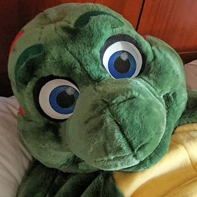 Hi There! I'm Vincent! And I'm just a little Plushie Turtle who loves big hugs and making people smile! Remember, your all special, beautiful and wonderful!