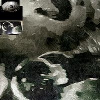 Kevin Ortiz (@nivekzitro) 's Twitter Profile