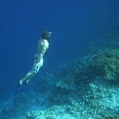 jteofilosanchez's profile picture. 