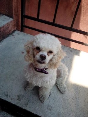 lyanemar's profile picture. Amante de nuestros mares y nuestra gente. Bióloga,M Sc.Educ.Ambiental y Dra Cs.Biológicas. Investigación ambiental marino costera.