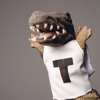 Temsa7LY (@temsa7ly) 's Twitter Profile