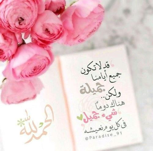 helpus2016's profile picture. 