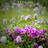 blue_domain's profile image